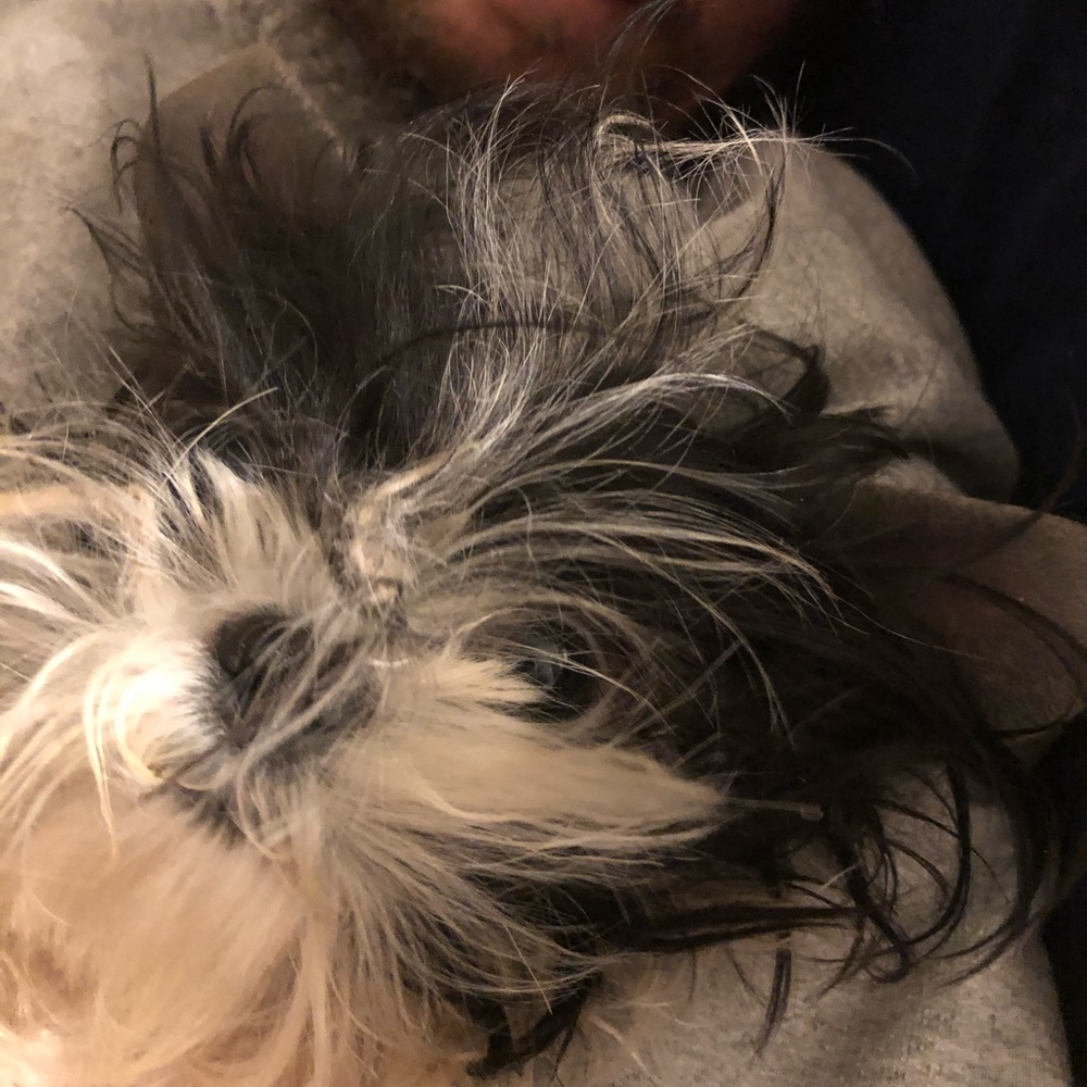 Meet your Posher, Leanna